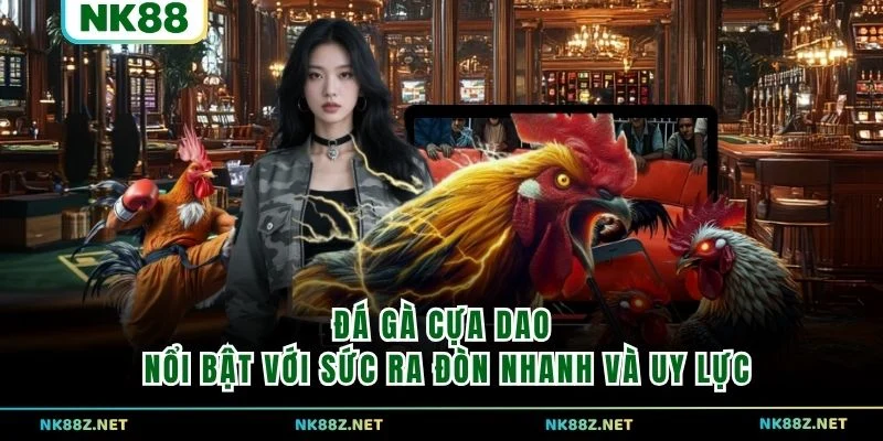 Đá gà cựa dao nổi bật với sức ra đòn nhanh và uy lực